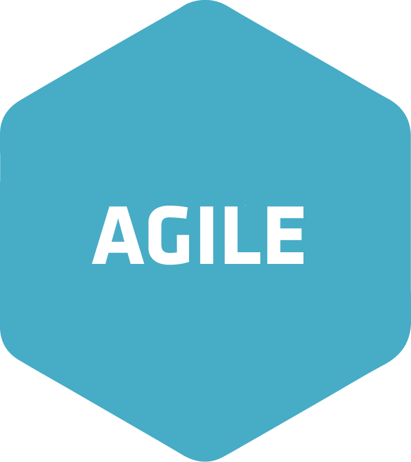 Agile_1