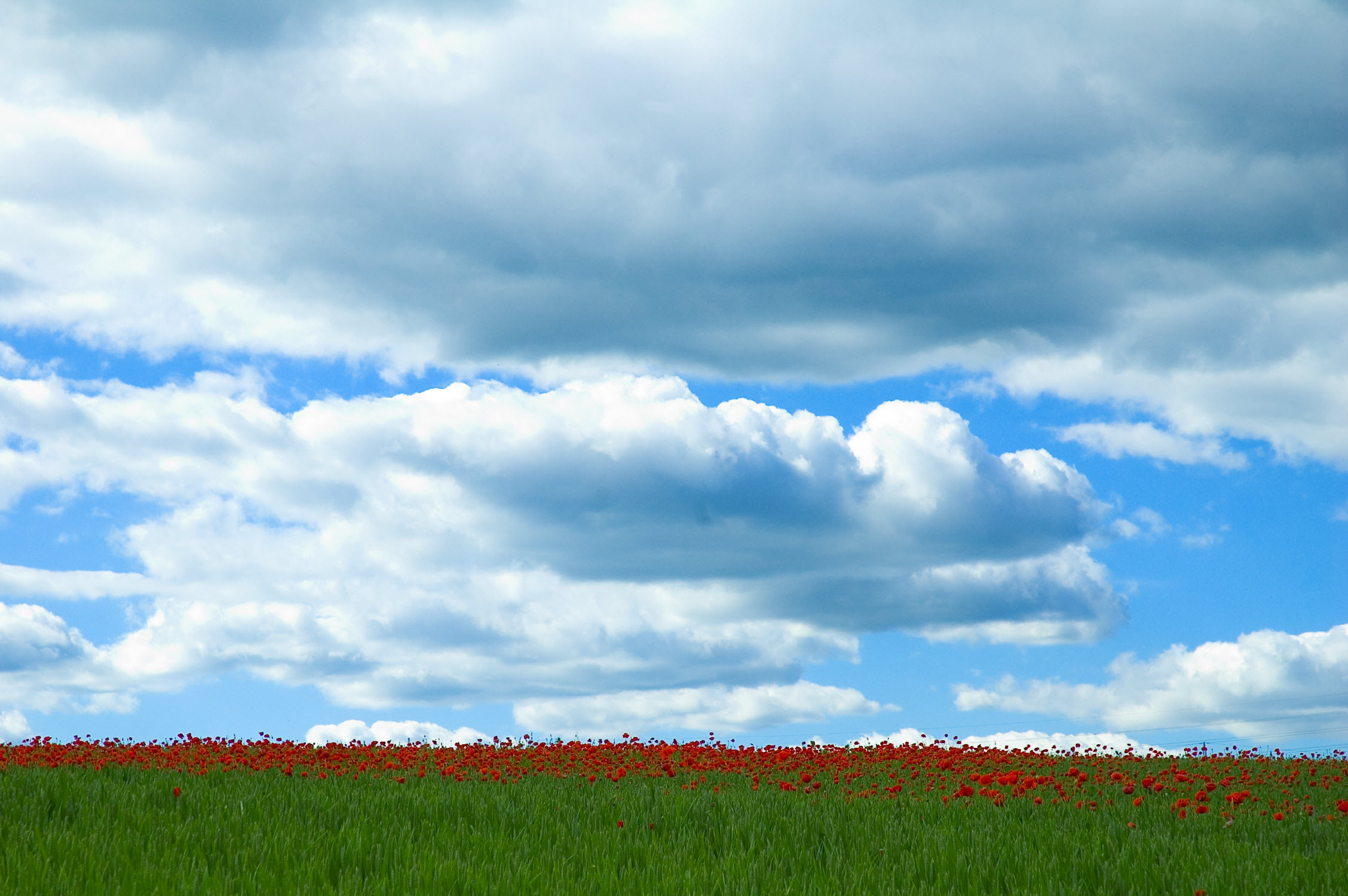Cloud-based hosting